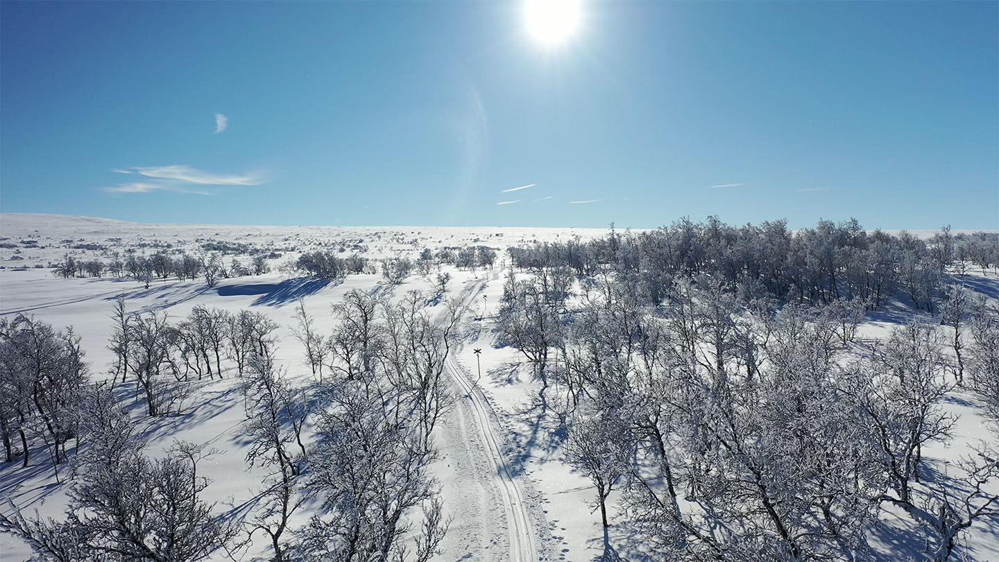 Längdskidåkning i Funäsda